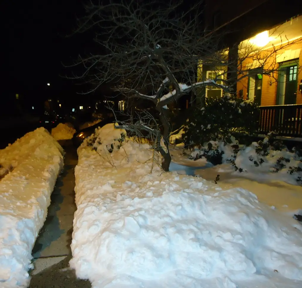 Cleared walkway after a snowstorm, illustrating loading dock ice prevention in Chester
